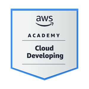 AWS Dev